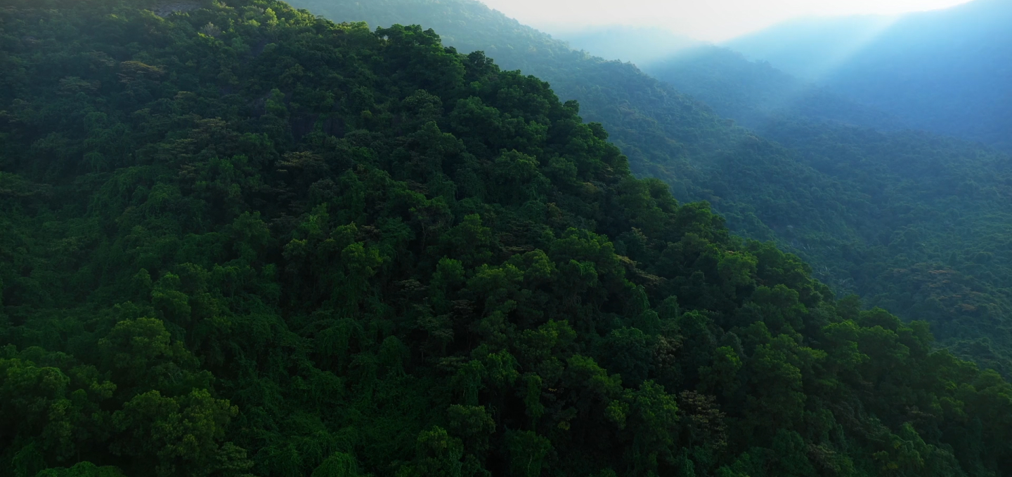 pexels-bhumik-photography-6565564 1