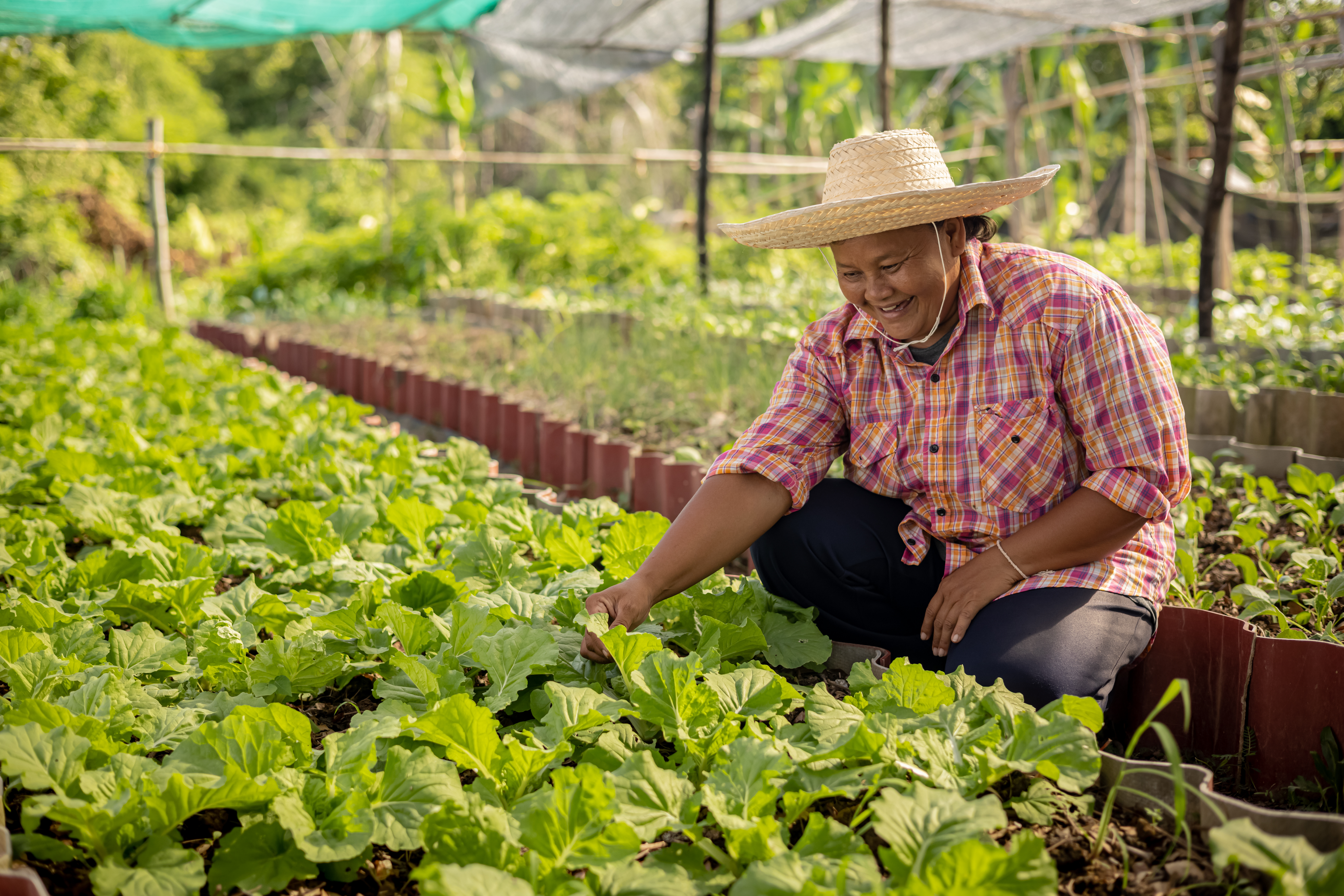 Sustainable Sourcing with Peterson Sustainable Sourcing with Peterson