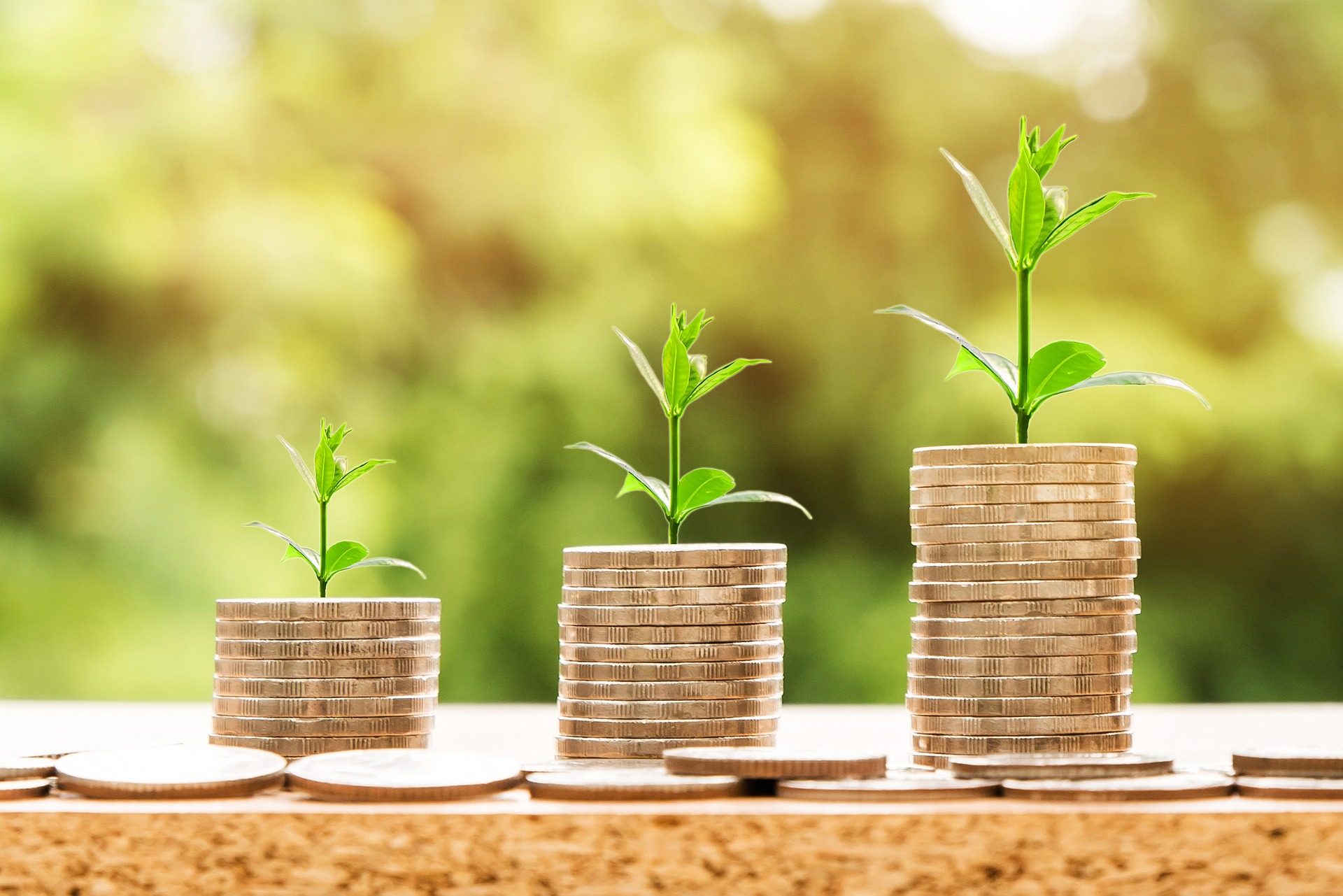 Sustainable Finance Sustainable Finance