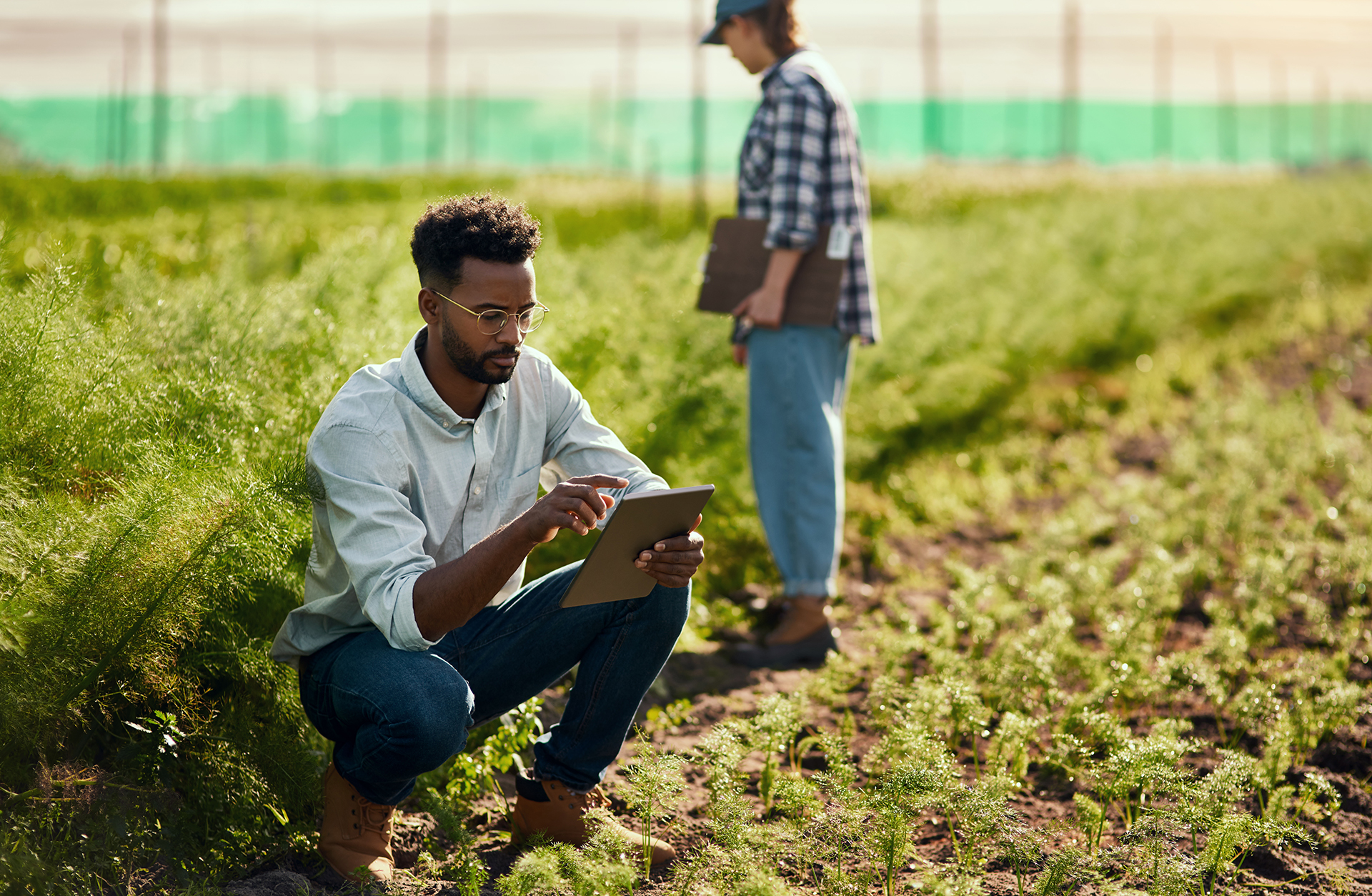 Theyve both got a job to do. Full length shot of a handsome young male farmer using a tablet while working on his farm with a female colleague in the background. Theyve both got a job to do. Full length shot of a handsome young male farmer using a tablet while working on his farm with a female colleague in the background.