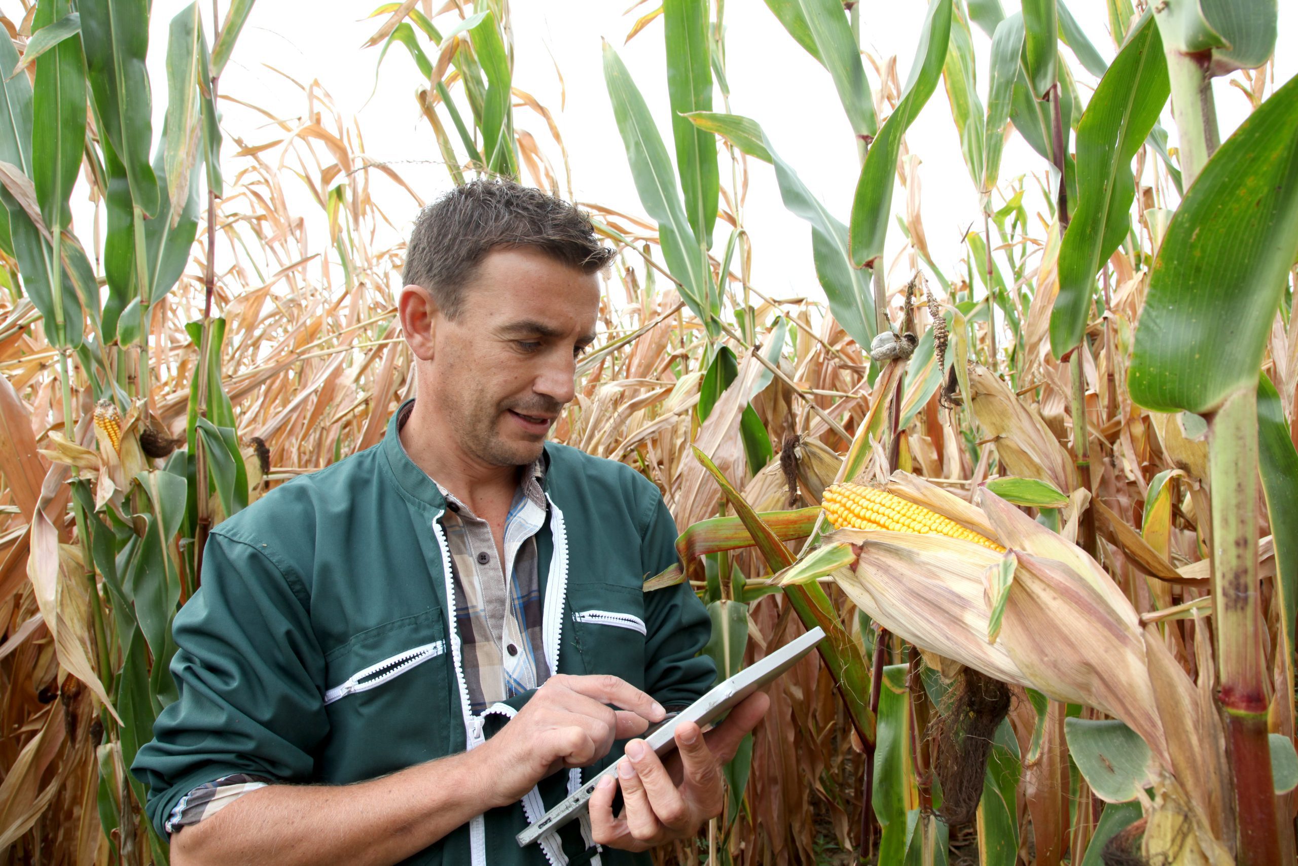 shutterstock_113947645