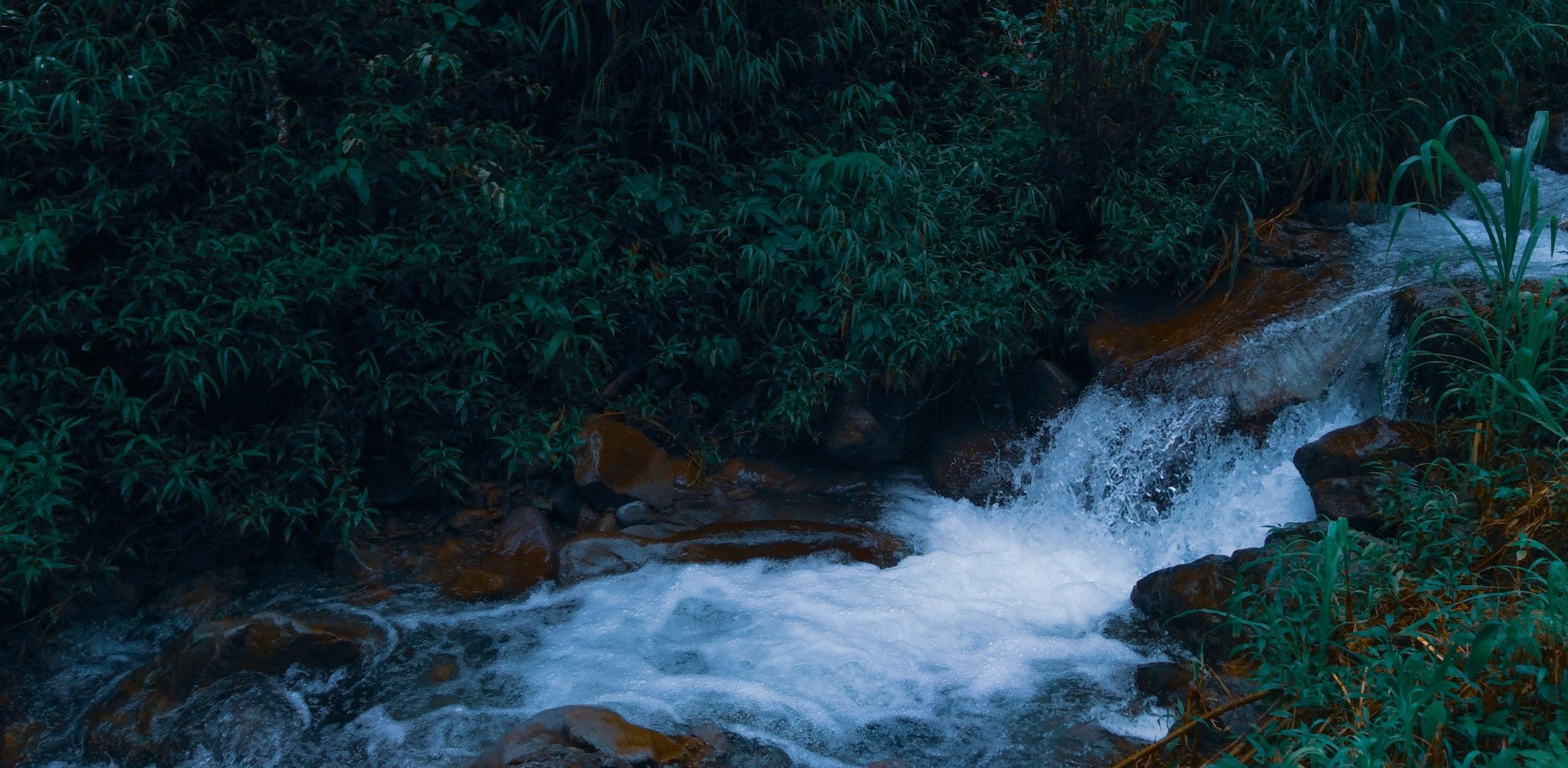 su-nyoto-v2frmiIqO0Y-unsplash