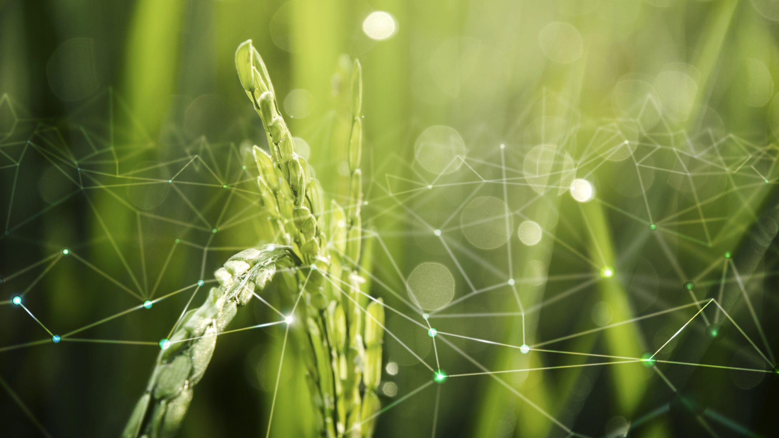 EU Green Consumer Directive ECGT Compliance